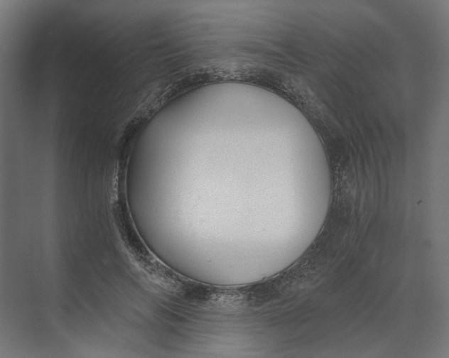 X0000073700694200608241417