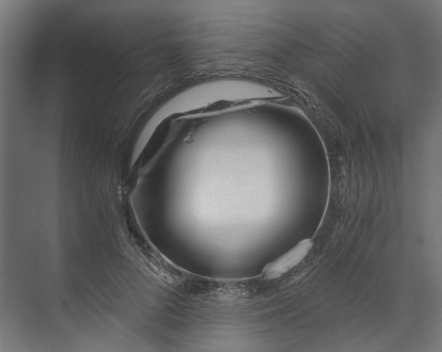 X0000073700696200608241417