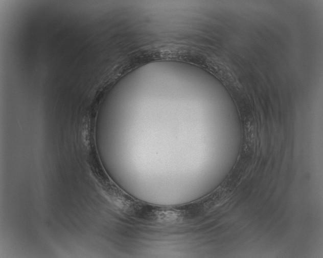 X0000073700698200608241417