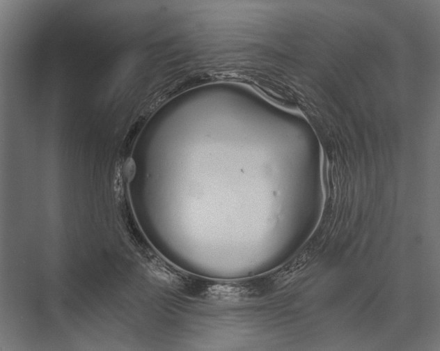 X0000073700699200608241417