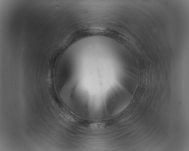 X0000073700700200608241417