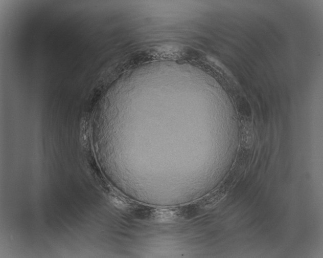 X0000073700701200608241417