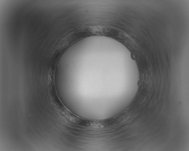 X0000073700702200608241417