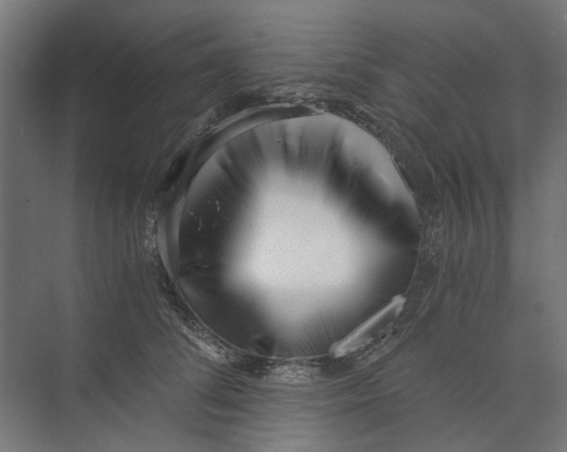 X0000073700708200608241417