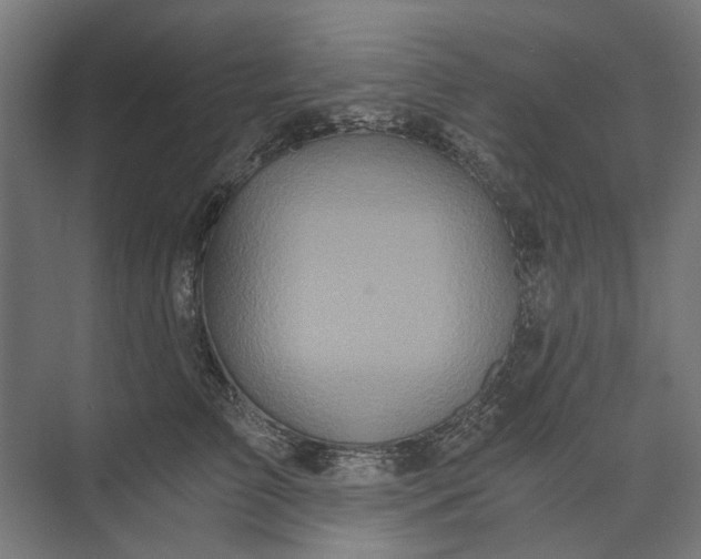 X0000073700709200608241417