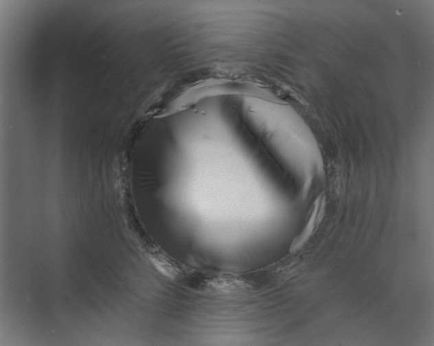 X0000073700712200608241417