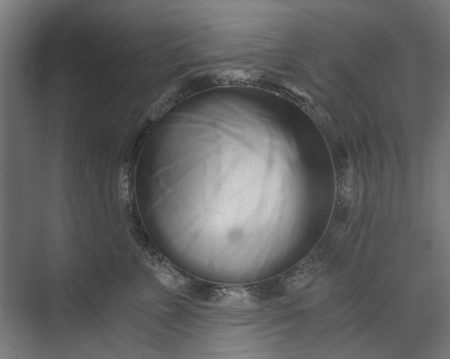 X0000073700715200608241417