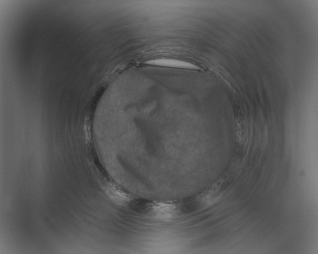 X0000073700718200608241417