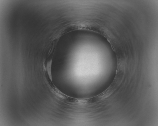 X0000073700719200608241417