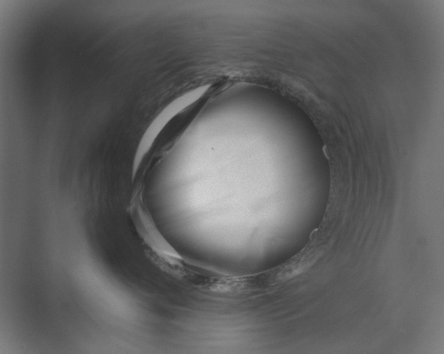 X0000073700720200608241417