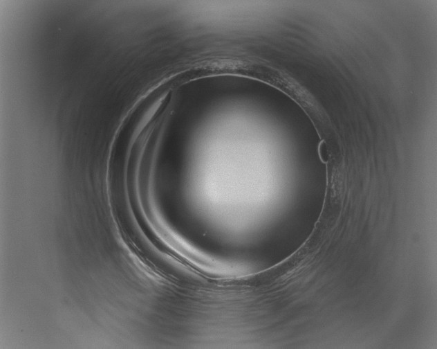 X0000073700722200608241416