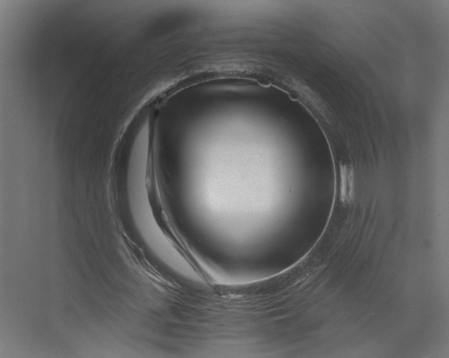 X0000073700723200608241416