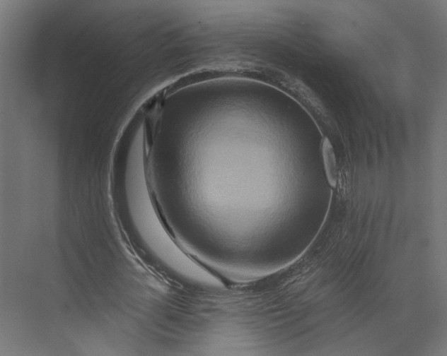 X0000073700724200608241416