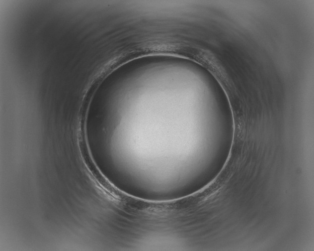 X0000073700725200608241416