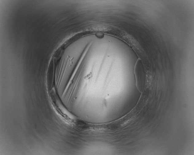 X0000073700726200608241416