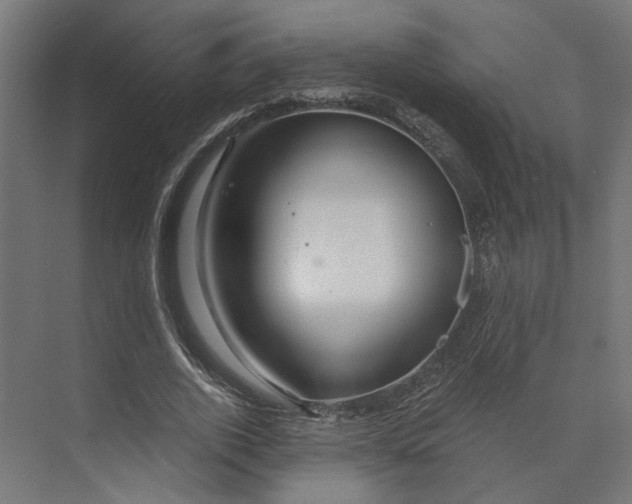 X0000073700728200608241416