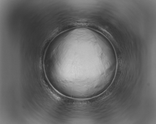 X0000073700729200608241416