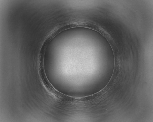 X0000073700730200608241416