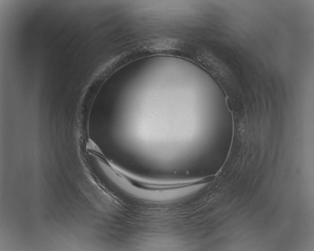 X0000073700732200608241416