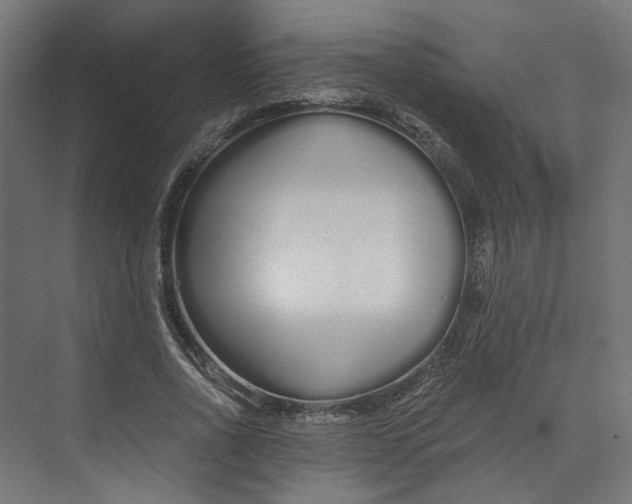 X0000073700734200608241416