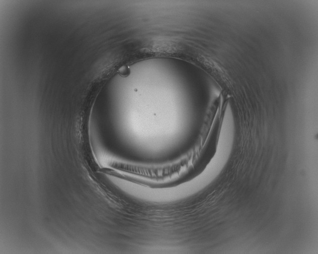 X0000073700735200608241416