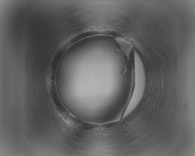 X0000073700736200608241416