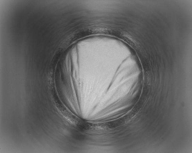 X0000073700737200608241416