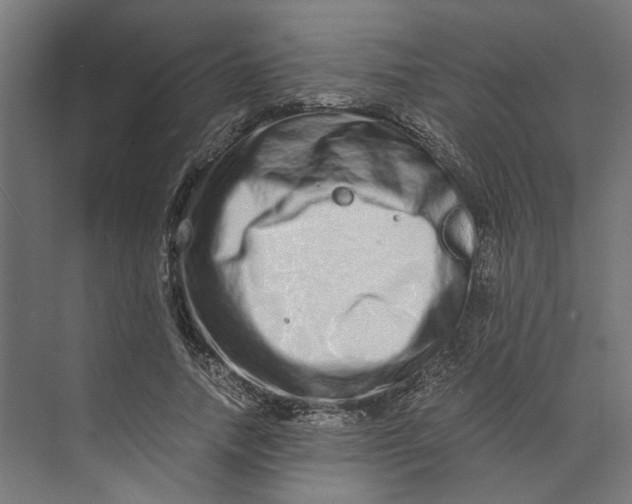 X0000073700738200608241416