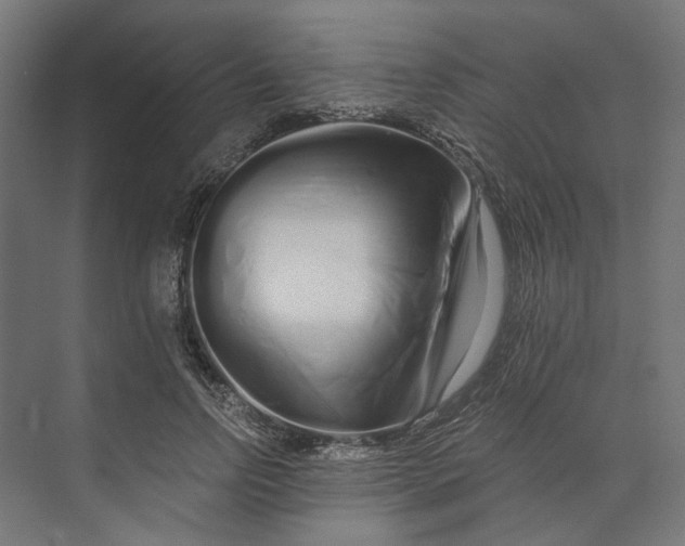 X0000073700742200608241416