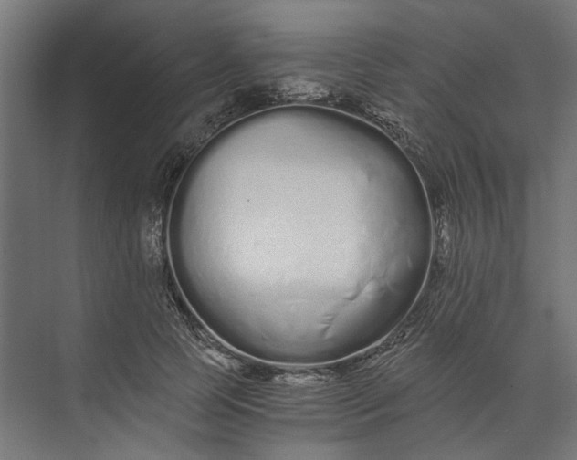 X0000073700745200608241417