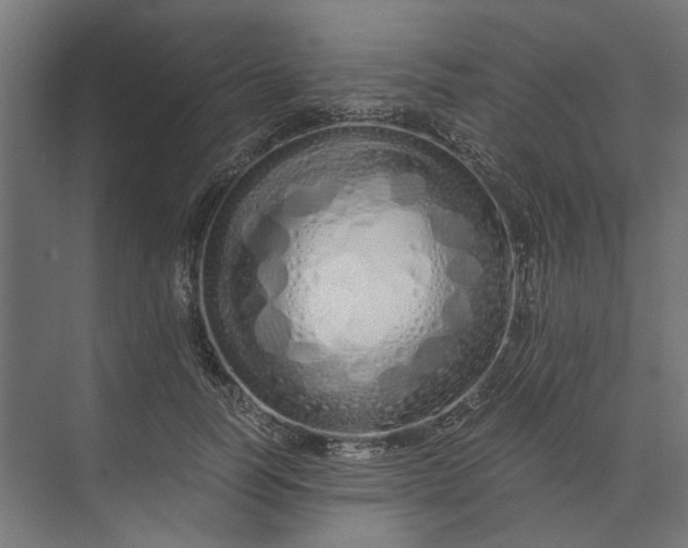 X0000073700746200608241417