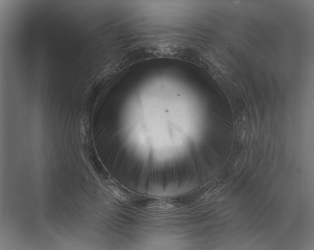 X0000073700747200608241417