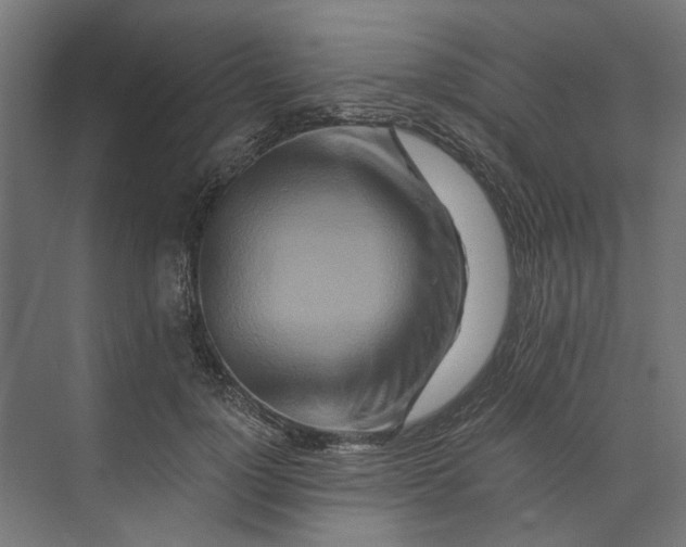 X0000073700748200608241417