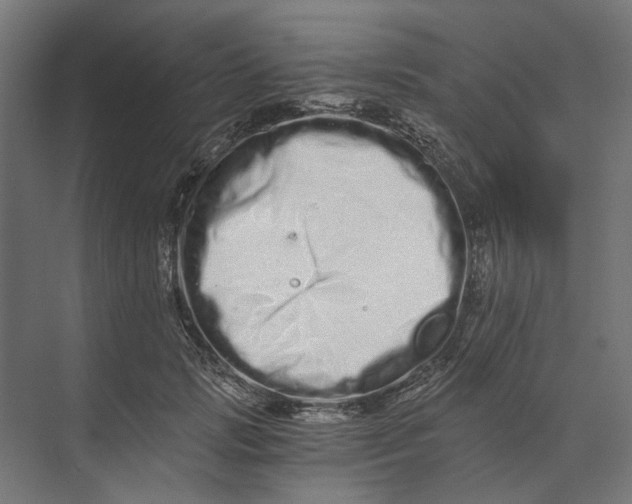 X0000073700749200608241417