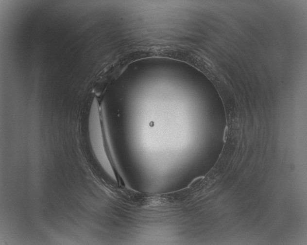 X0000073700750200608241417