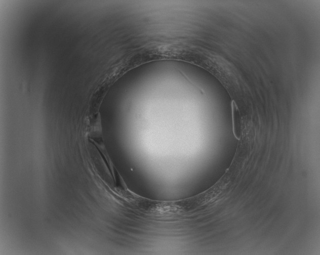 X0000073700752200608241417