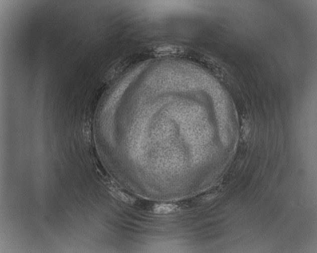 X0000073700753200608241417