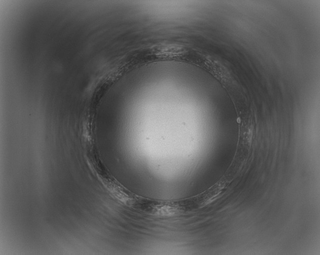 X0000073700755200608241417