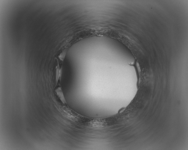 X0000073700756200608241417