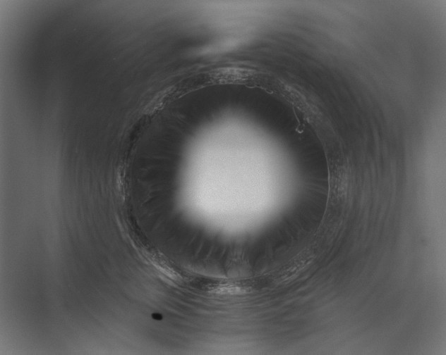 X0000073700759200608241417