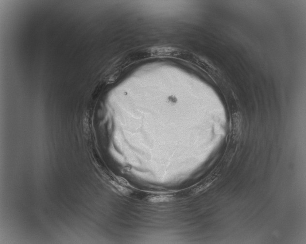 X0000073700761200608241417