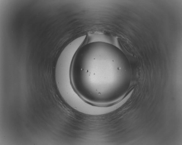 X0000073700762200608241417