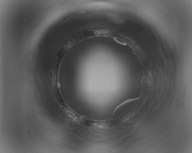 X0000073700763200608241417