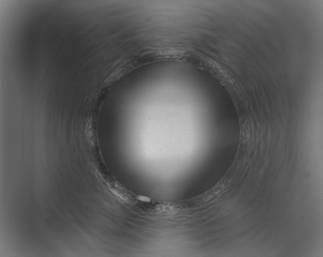 X0000073700764200608241417