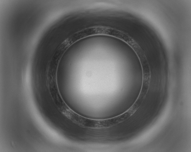 X0000073700765200608241417