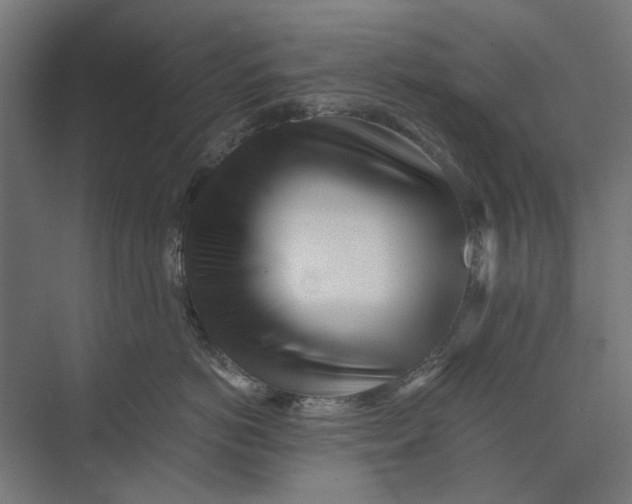 X0000073700766200608241417