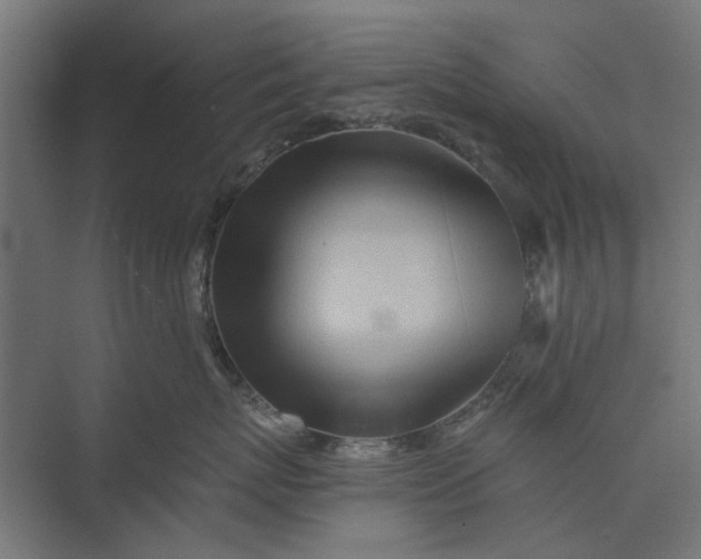 X0000073700767200608241417