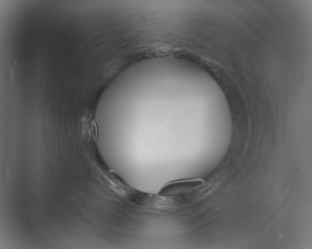 X0000073700768200608241417