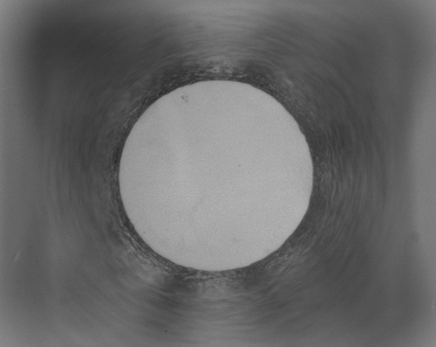 X0000073700769200608241416