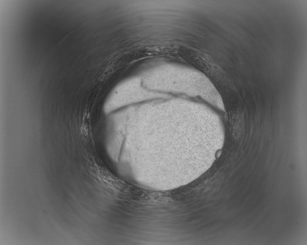 X0000073700770200608241416